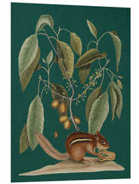 Hartschaumbild Pl.075, Tier und Pflanze