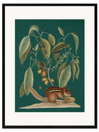 Gerahmter Kunstdruck Pl.075, Tier und Pflanze