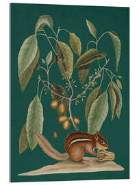 Gallery Print Pl.075, Tier und Pflanze