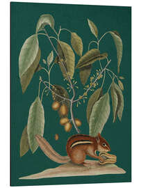 Magnettafel Pl.075, Tier und Pflanze