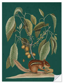 Wandsticker Pl.075, Tier und Pflanze