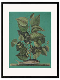 Gerahmter Kunstdruck Pl.024, Fisch und Pflanze