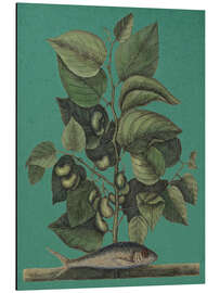 Magnettafel Pl.024, Fisch und Pflanze