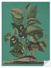 Wandsticker Pl.024, Fisch und Pflanze