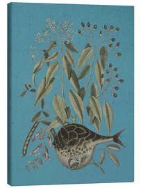 Canvas print Pl. 028, Fish and Plant - Mark Catesby