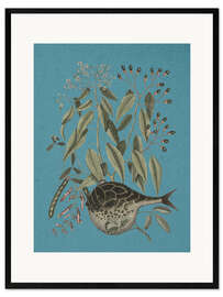 Gerahmter Kunstdruck Pl. 028, Fisch und Pflanze