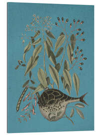 Gallery Print Pl. 028, Fisch und Pflanze