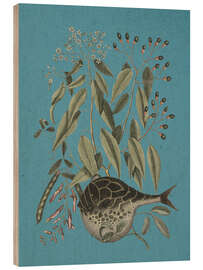 Wood print Pl. 028, Fish and Plant - Mark Catesby