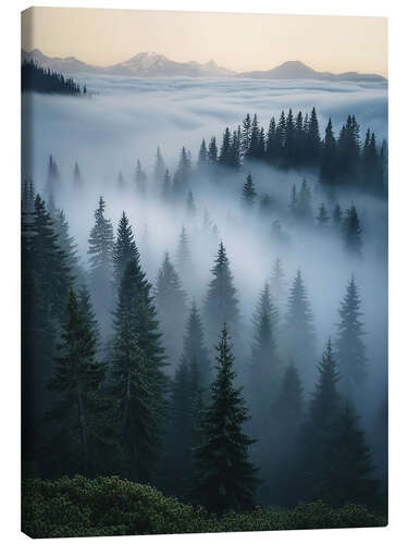 Canvas-taulu Foggy Pines Landscape
