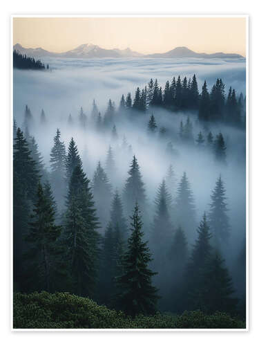 Poster Foggy Pines Landscape