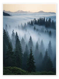 Wall print Foggy Pines Landscape - Nikita Abakumov