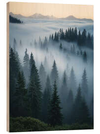 Obraz na drewnie Foggy Pines Landscape - Nikita Abakumov