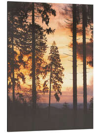 Alubild Wahre Romanze - Tordis Kayma