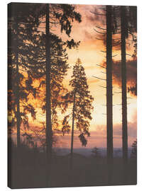 Canvas print True Romance - Tordis Kayma