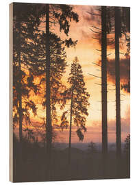 Wood print True Romance - Tordis Kayma