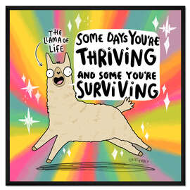 Gerahmter Kunstdruck Lama of Life