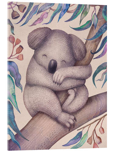 Acrylic print Sleeping Koala