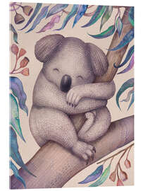 Acrylic print Sleeping Koala