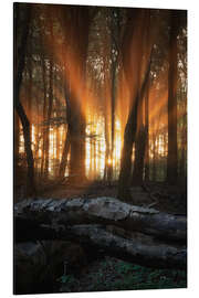 Aluminium print Orange sunrays at sunrise in a forest - Martin Podt