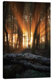 Canvas print Orange sunrays at sunrise in a forest - Martin Podt