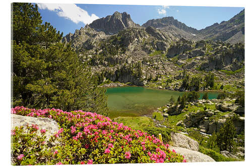 Acrylglasbild Aigüestortes i Estany de Sant Maurici, Pyrenäen