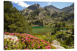Aluminiumsbilde Aigüestortes i Estany de Sant Maurici, Pyrenees - Peter Schickert