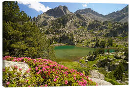 Leinwandbild Aigüestortes i Estany de Sant Maurici, Pyrenäen - Peter Schickert