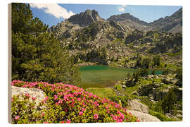 Holzbild Aigüestortes i Estany de Sant Maurici, Pyrenäen - Peter Schickert