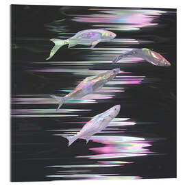 Stampa su vetro acrilico Crystal Fishes