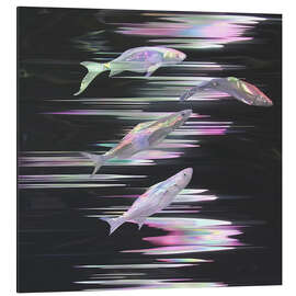 Alubild Kristallfische