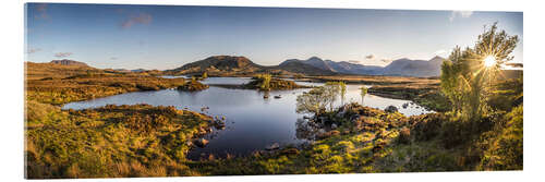 Cuadro de metacrilato Evening light in Rannoch Moor, Highlands, Scotland