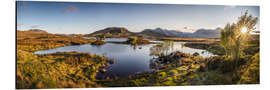 Quadro em alumínio Evening light in Rannoch Moor, Highlands, Scotland - Christian Müringer