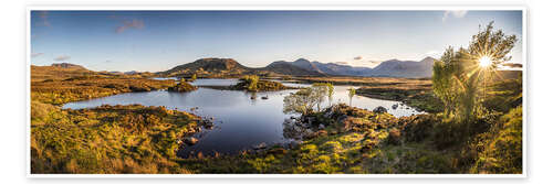 Poster Evening light in Rannoch Moor, Highlands, Scotland