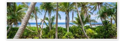 Poster Jungle paradise with palm trees