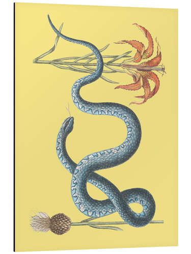Obraz na aluminium Snake and flower