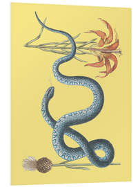 PVC print Snake and flower