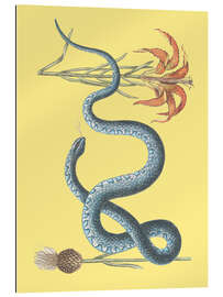 Tableau en plexi-alu Snake and flower