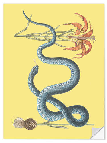 Wall sticker Snake and flower
