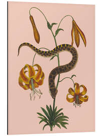 Magnettafel Schlange und Lilien