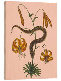 Holzbild Schlange und Lilien - Mark Catesby