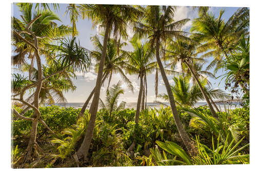 Acrylic print Sunset under the palm trees