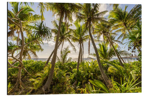 Aluminium print Sunset under the palm trees
