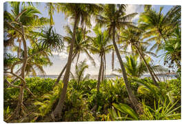 Canvas print Sunset under the palm trees