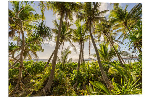 Gallery print Sunset under the palm trees