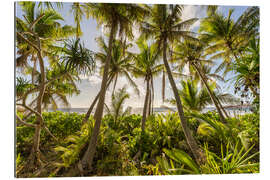 Stampa su plexi-alluminio Sunset under the palm trees