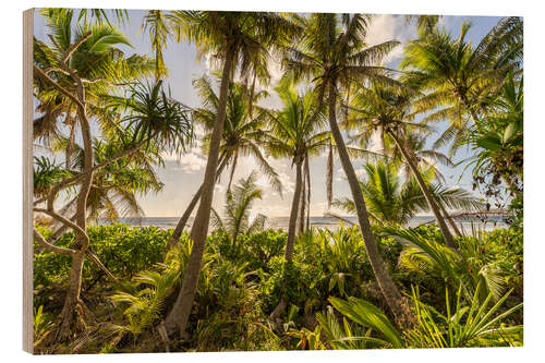 Hout print Sunset under the palm trees
