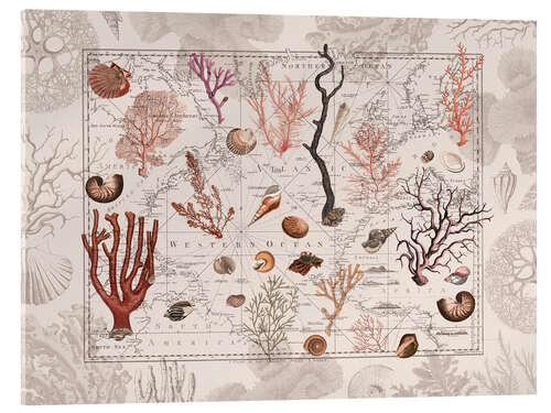 Cuadro de metacrilato Vintage Ocean Journey