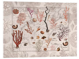 Cuadro de metacrilato Vintage Ocean Journey - Andrea Haase