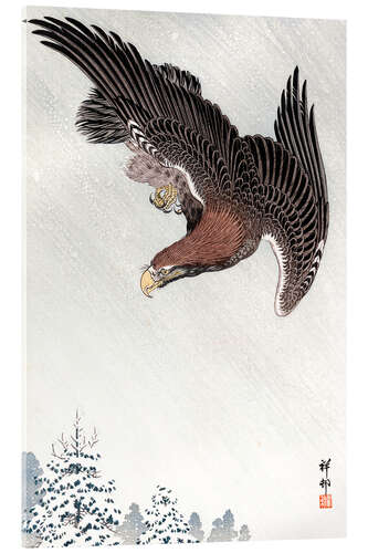 Cuadro de metacrilato Eagle in flight against a snowy sky, 1933