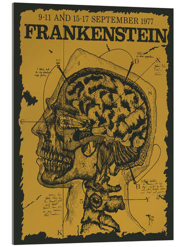 Cuadro de metacrilato Frankenstein 1977 - Jim Thorpe